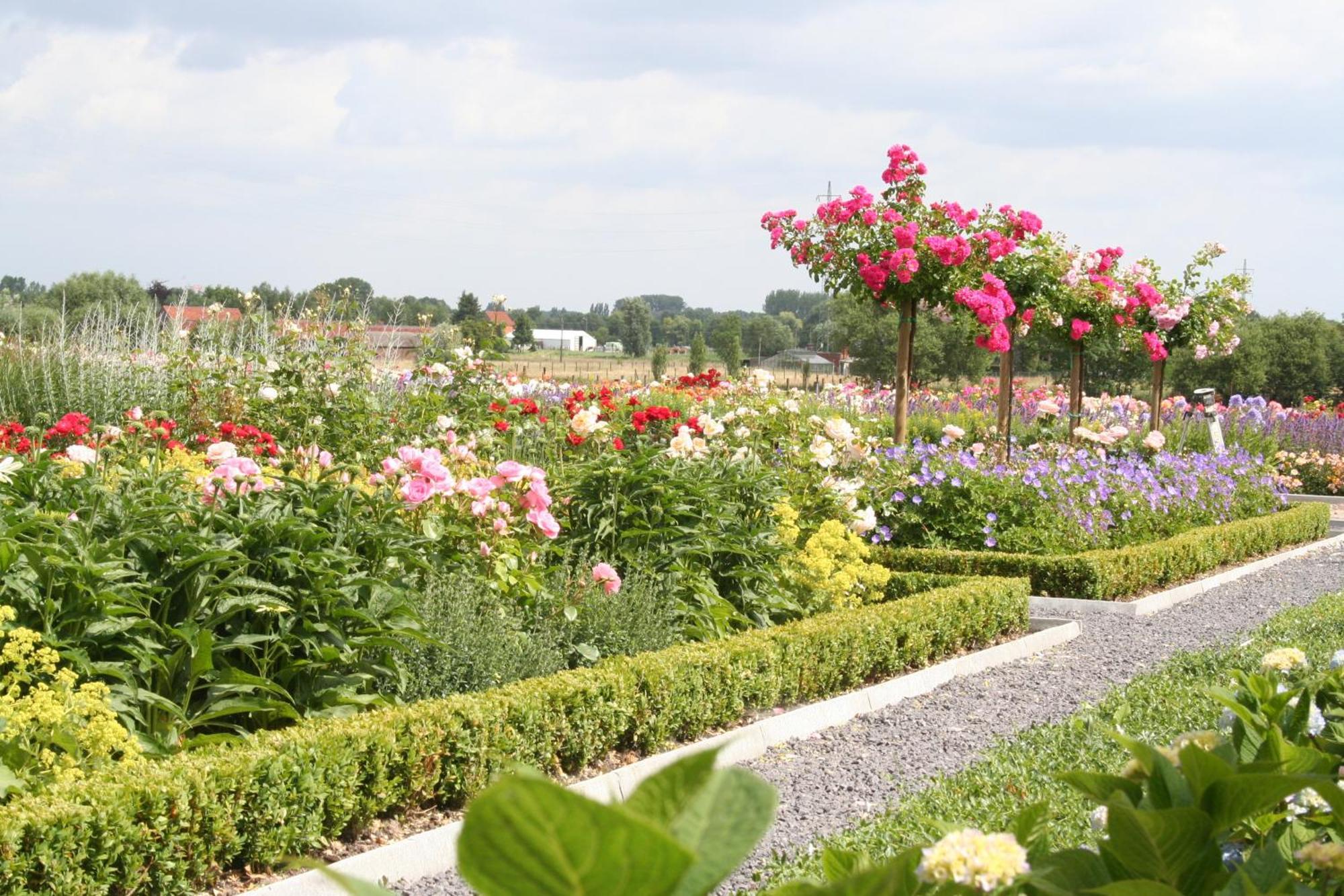 B&B La Vie En Roses Moorsel ภายนอก รูปภาพ