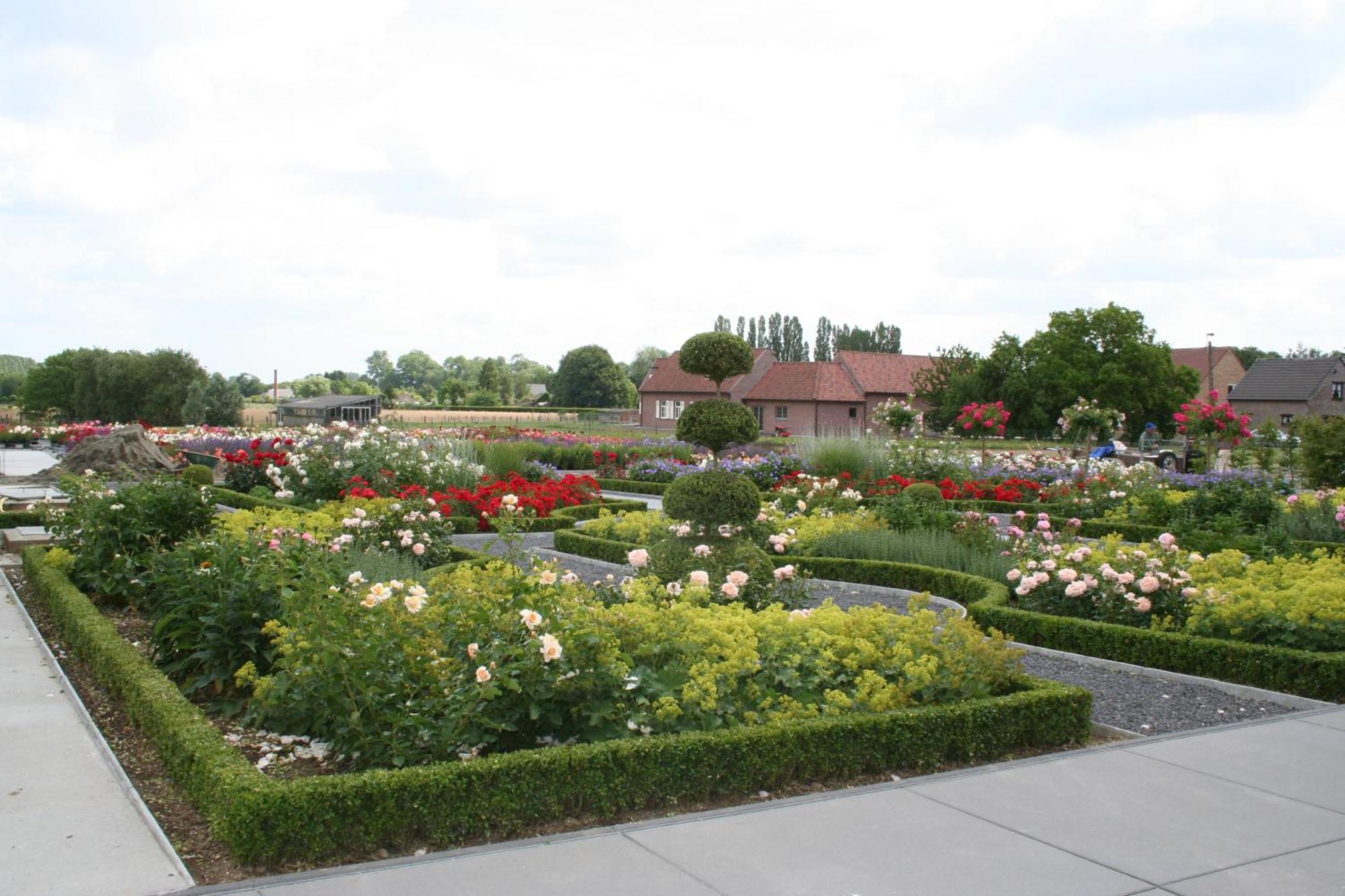 B&B La Vie En Roses Moorsel ภายนอก รูปภาพ