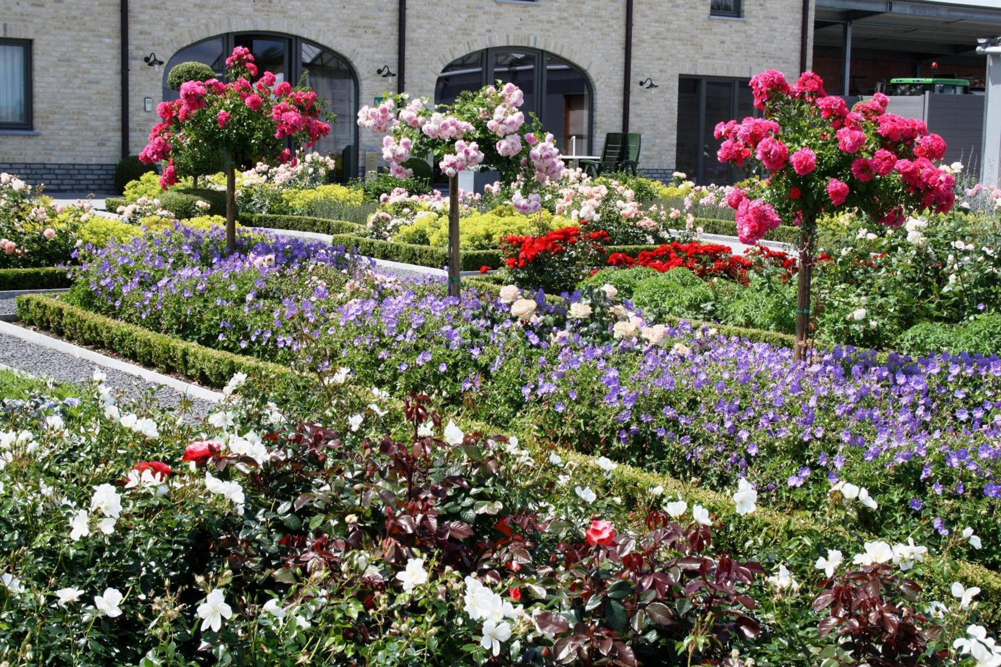 B&B La Vie En Roses Moorsel ภายนอก รูปภาพ